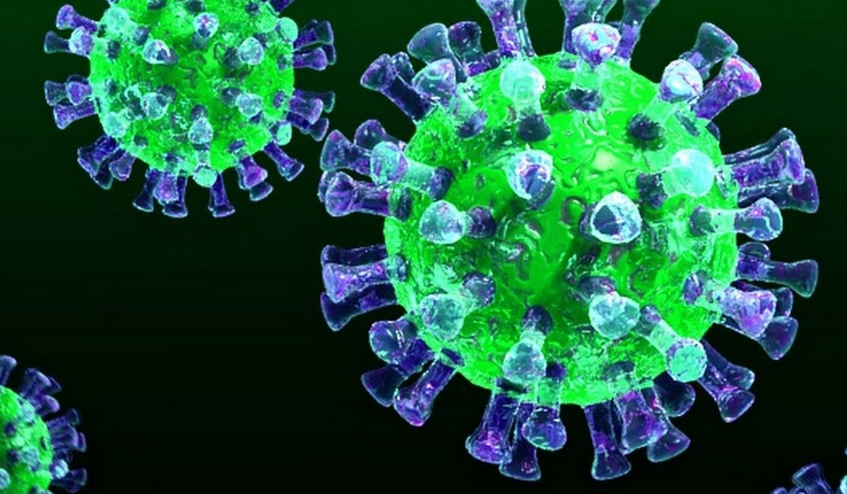 В Курской области выявили 70 новых случаев коронавируса за сутки
