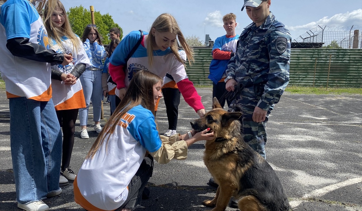 В Курской области студенты познакомились со служебной полицейской собакой