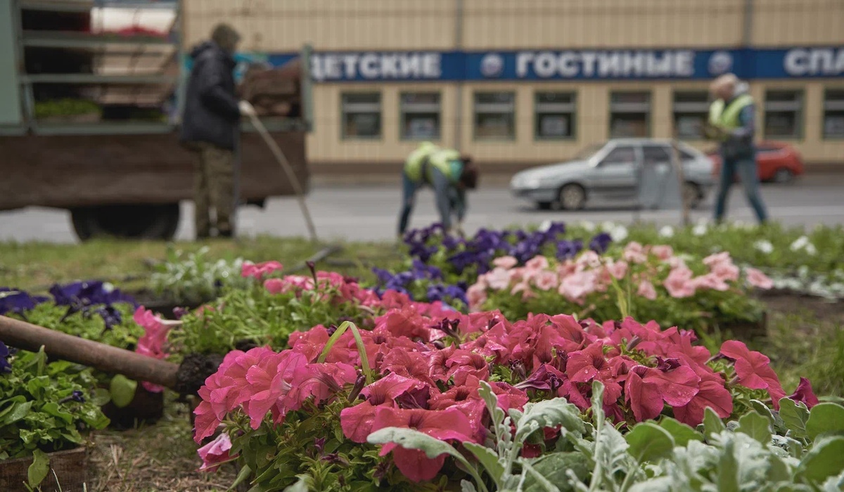 В Курске высадили 7 тысяч цветов