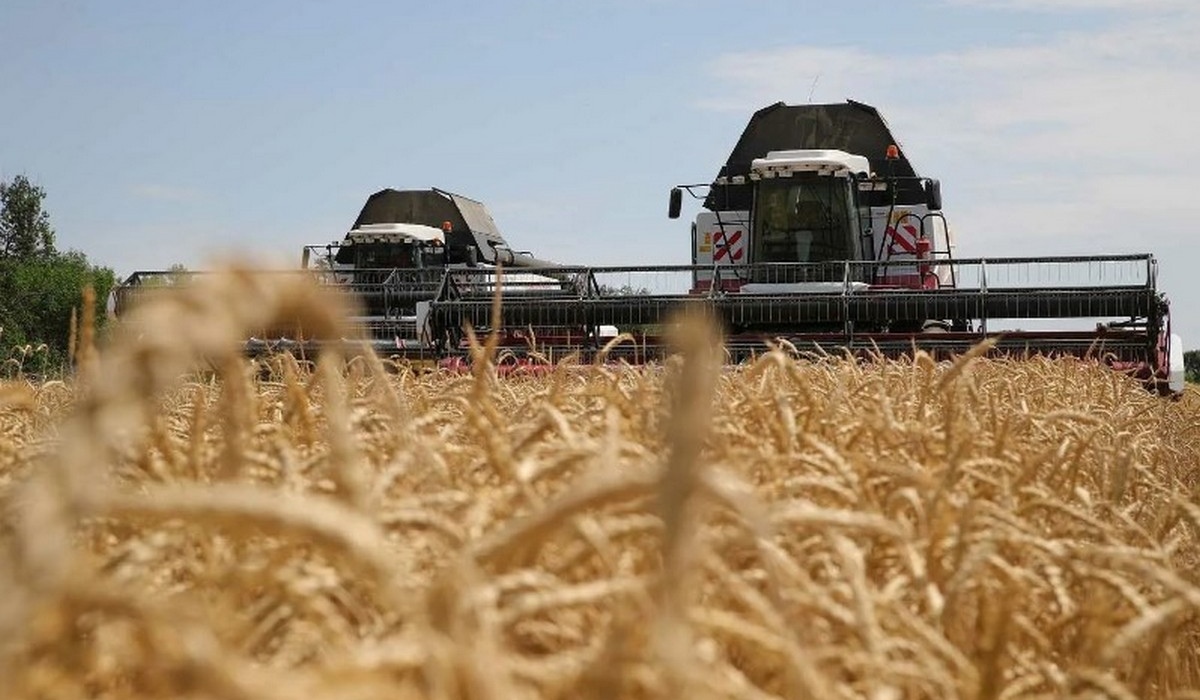 В Курской области будут собирать урожай с помощью искусственного интеллекта