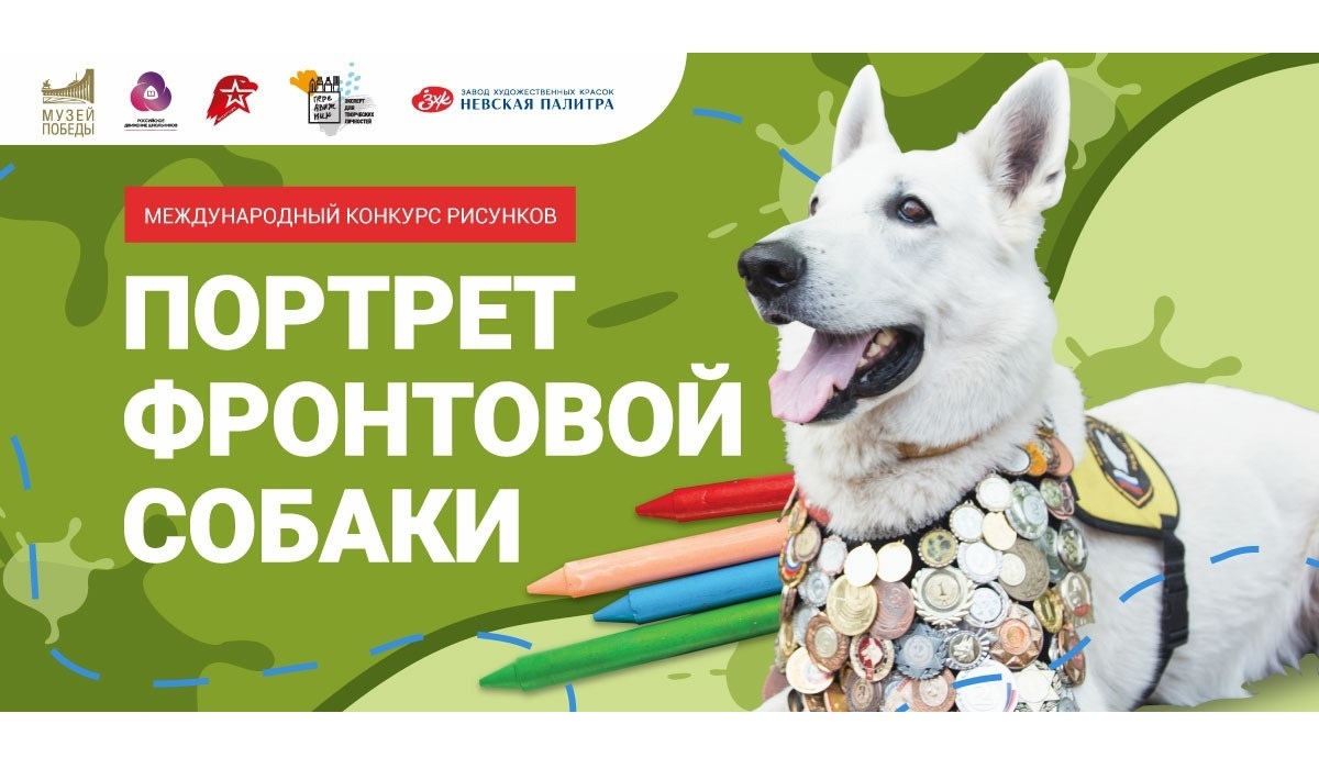 Курян приглашают к участию в международном проекте «Портрет фронтовой собаки»
