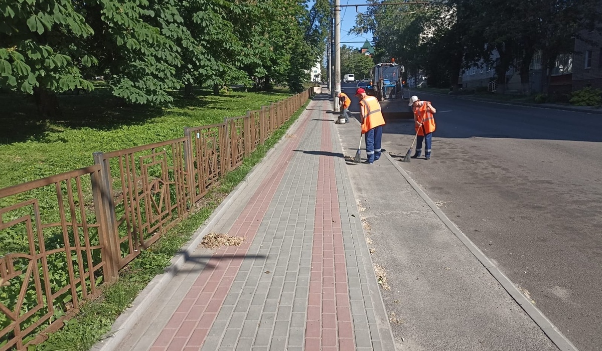 В Курске для очистки дорог рабочие используют более 50 машин