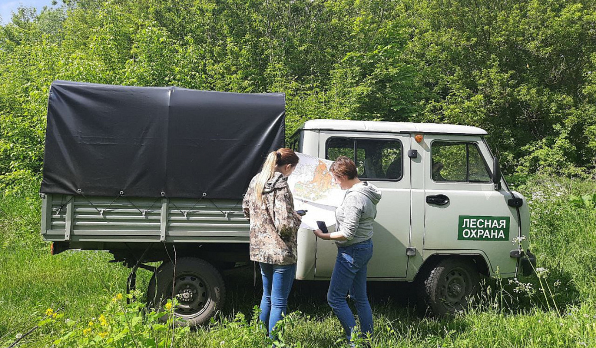 В Курске продолжают патрулировать леса