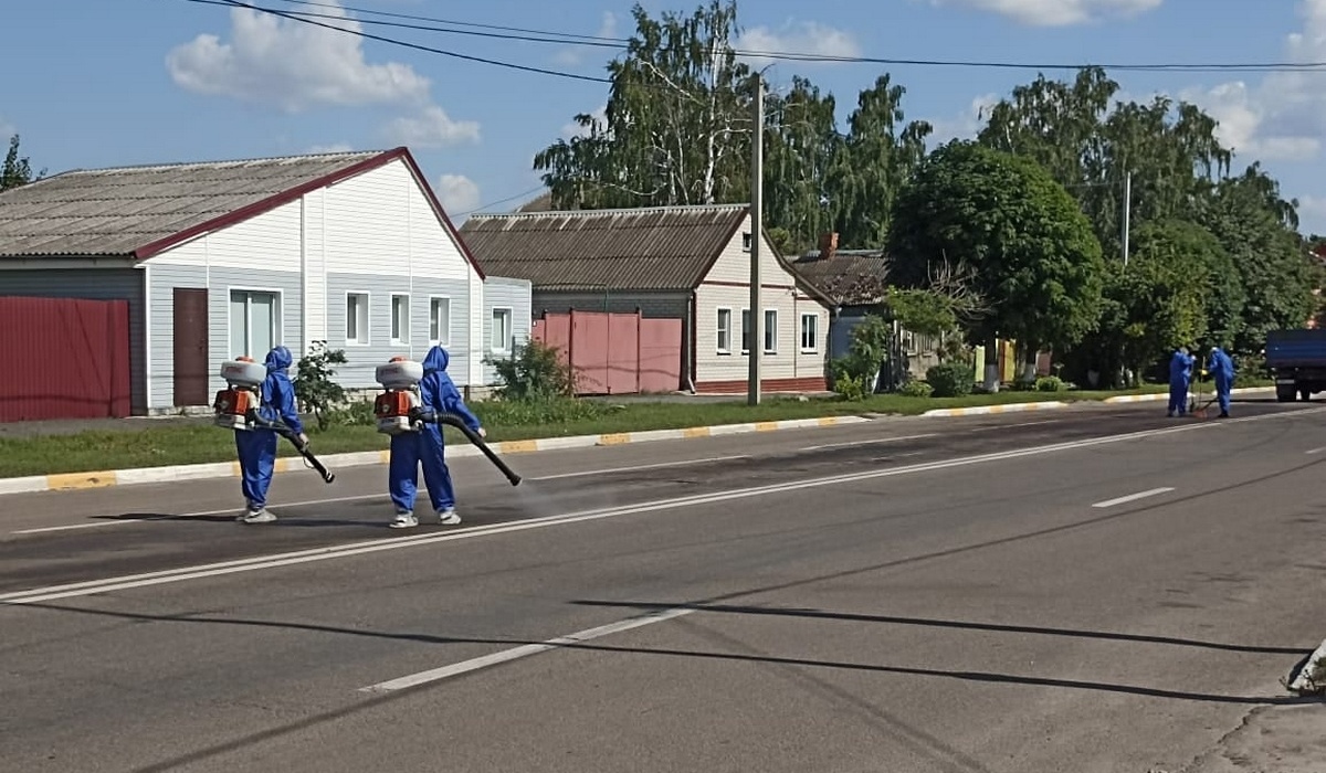 В Обояни Курской области дороги очистили от свиных отходов