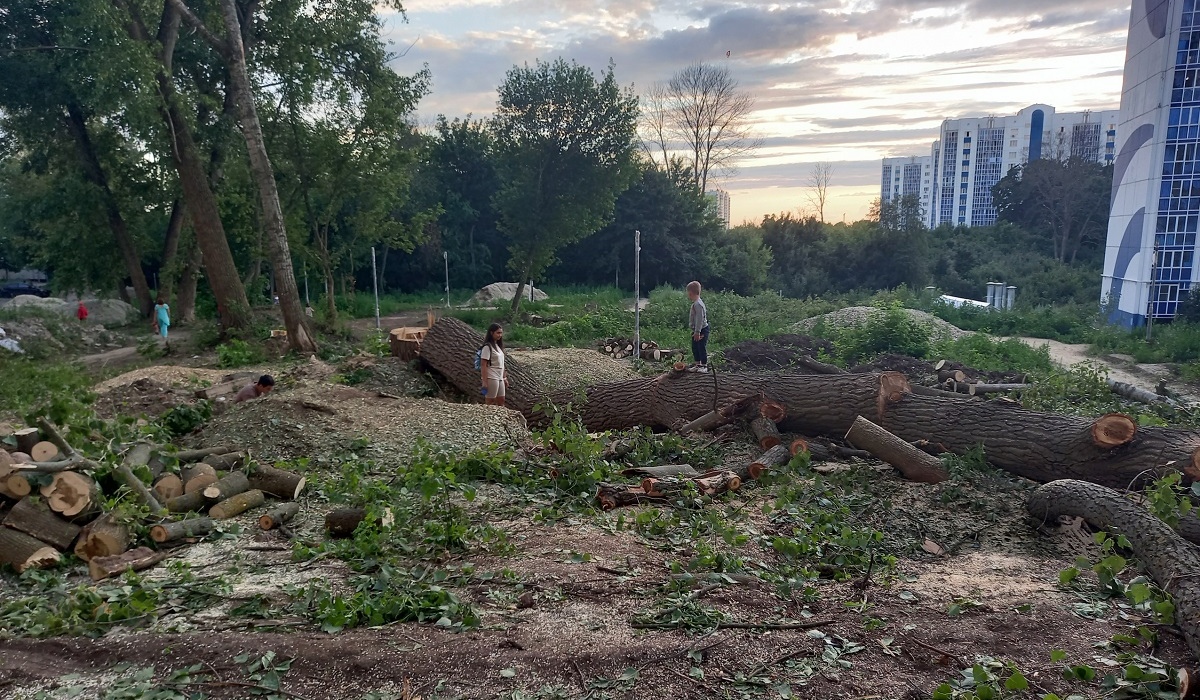 Курян просят перестать угрожать рабочим, спиливающим деревья на проспекте Клыкова