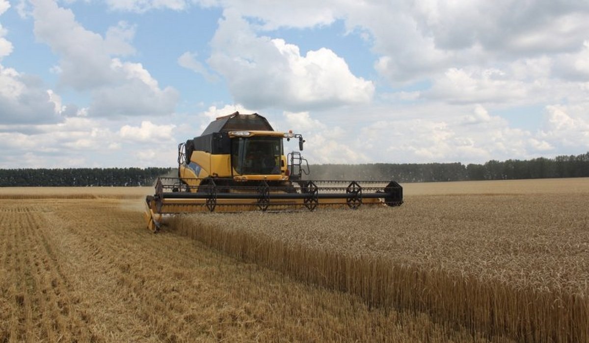 В Курской области обмолочено 10% зерновых
