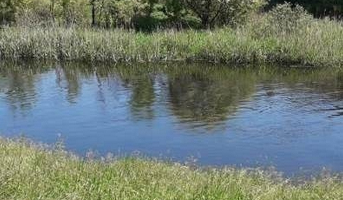 В Курской области стали известны подробности гибели 42-летнего мужчины в водоеме
