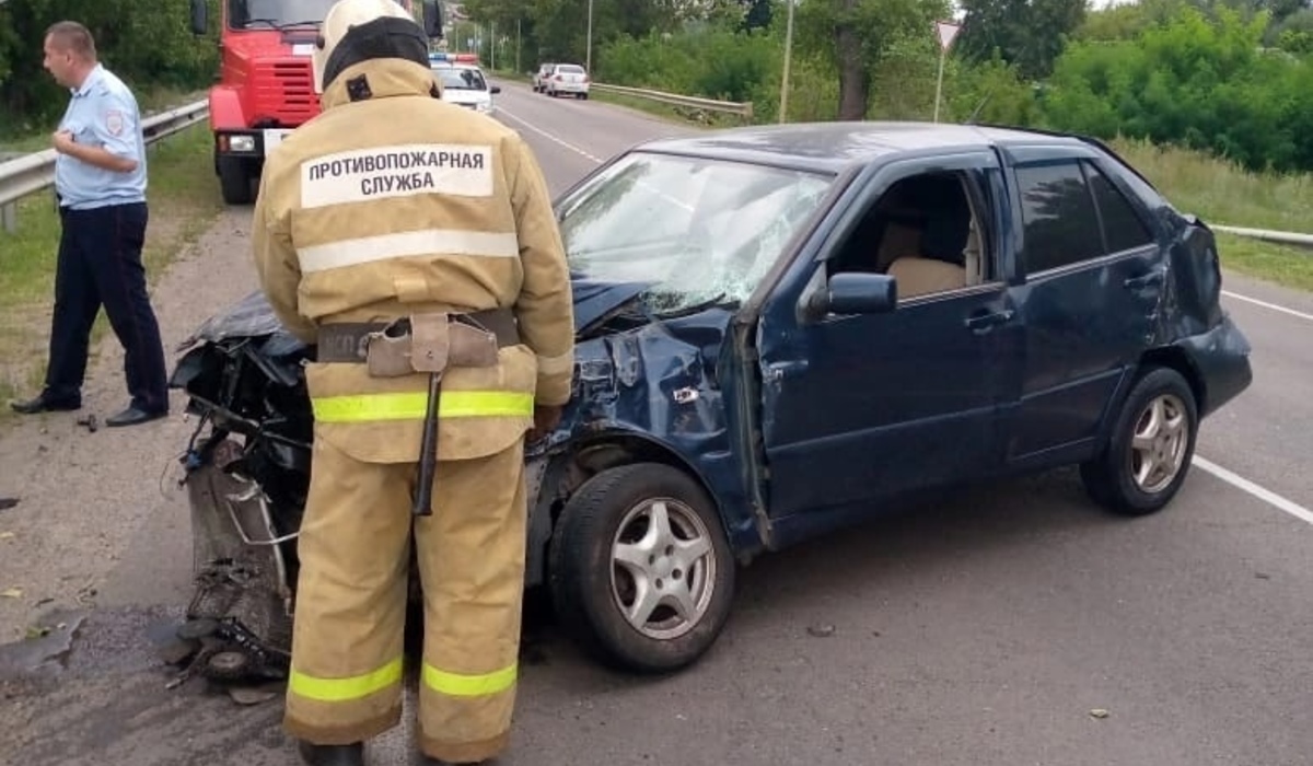 В Курской области водитель сбил трех человек на обочине дороги