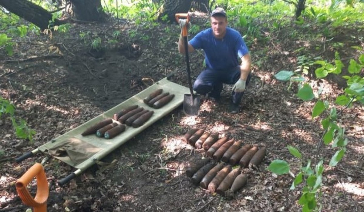 Курянин нашел в перелеске 26 боевых снарядов