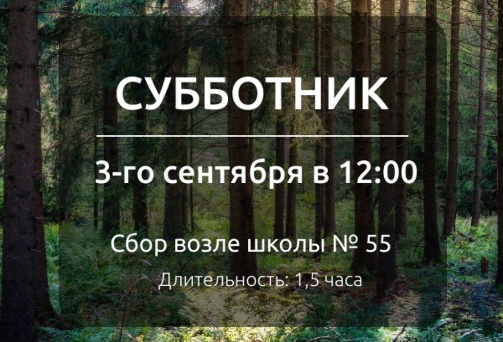 В Курске вновь состоится субботник в Поповском лесу