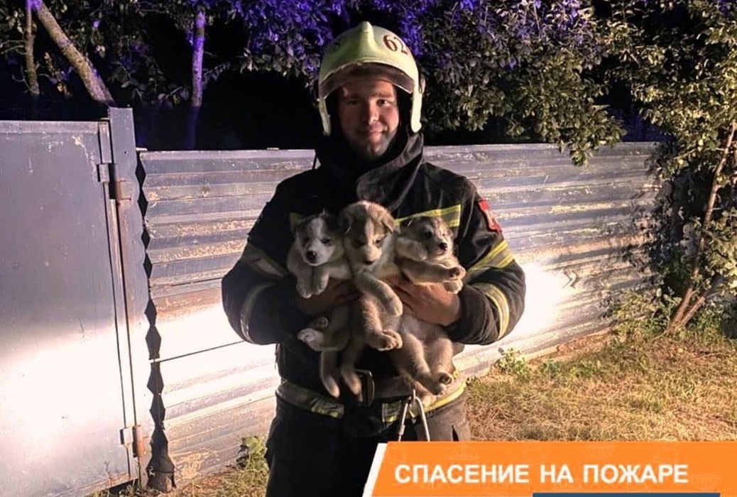 Курские пожарные спасли трёх щенков из огня