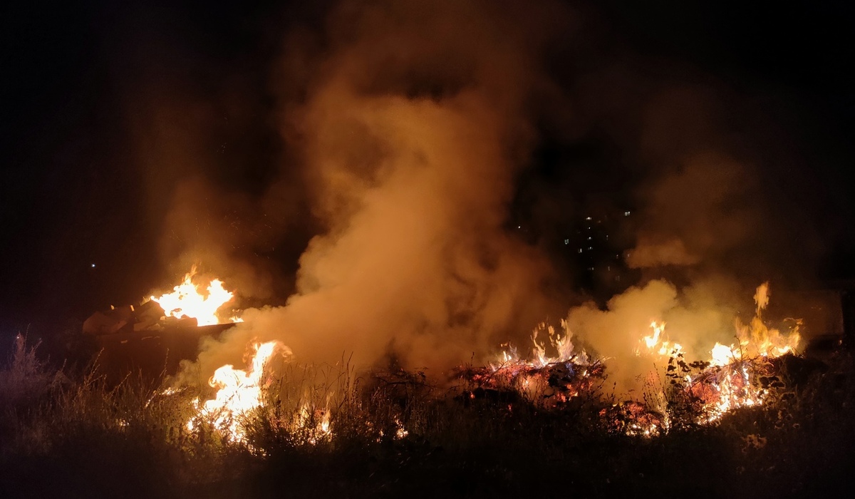 В Курской области из-за замыкания электропроводов загорелось дерево