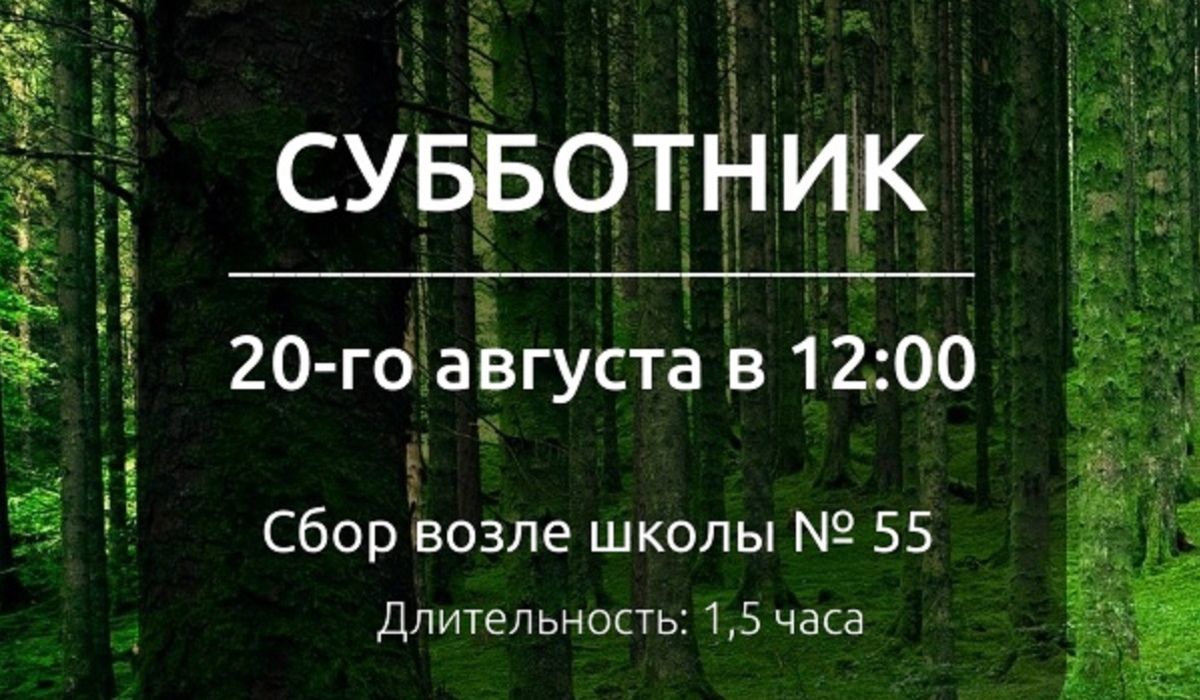 20 августа в курском лесу проведут субботник