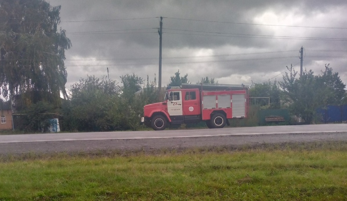 Пожарные из Курской области спасли собаку