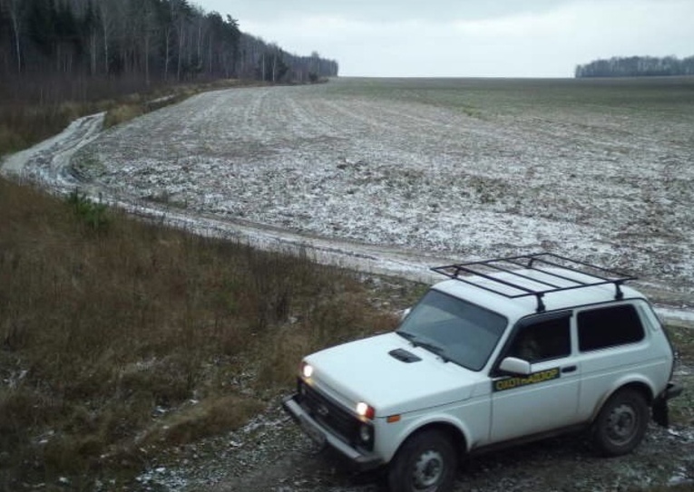 В Курской области браконьеры пытались вывезти дикого кабана из Пристенского района
