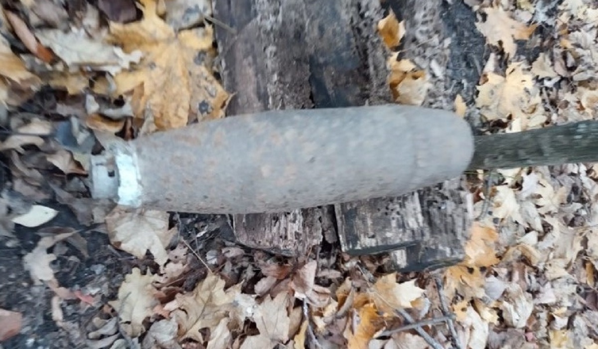 В Дмитриевском и Курском районах обнаружили снаряды времен ВОВ