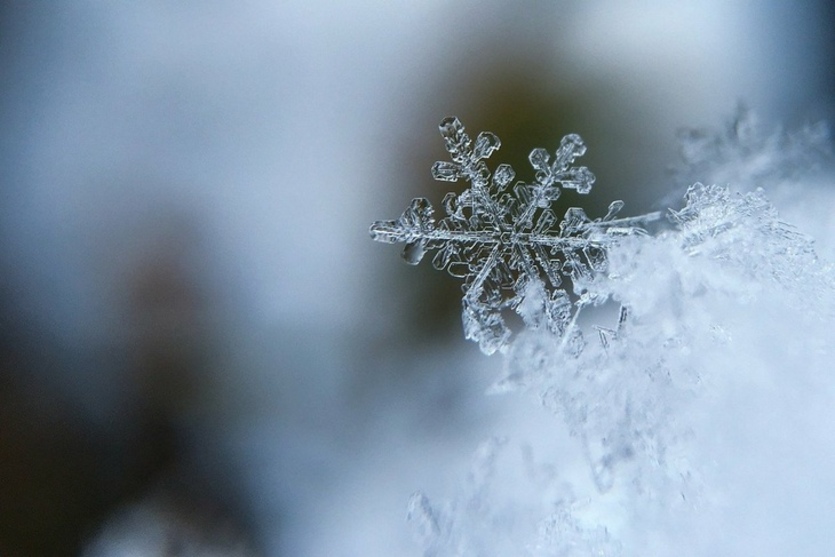 В Курской области 7 декабря ожидаются снег и 15 градусов мороза