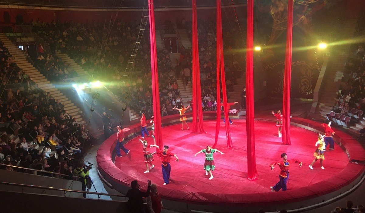 Семьи мобилизованных в СВО посетили Губернаторскую ёлку в Курском цирке