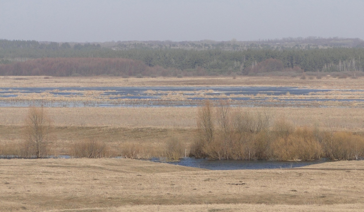 В ЕГРН внесены сведения о 5 памятниках природы Курской области