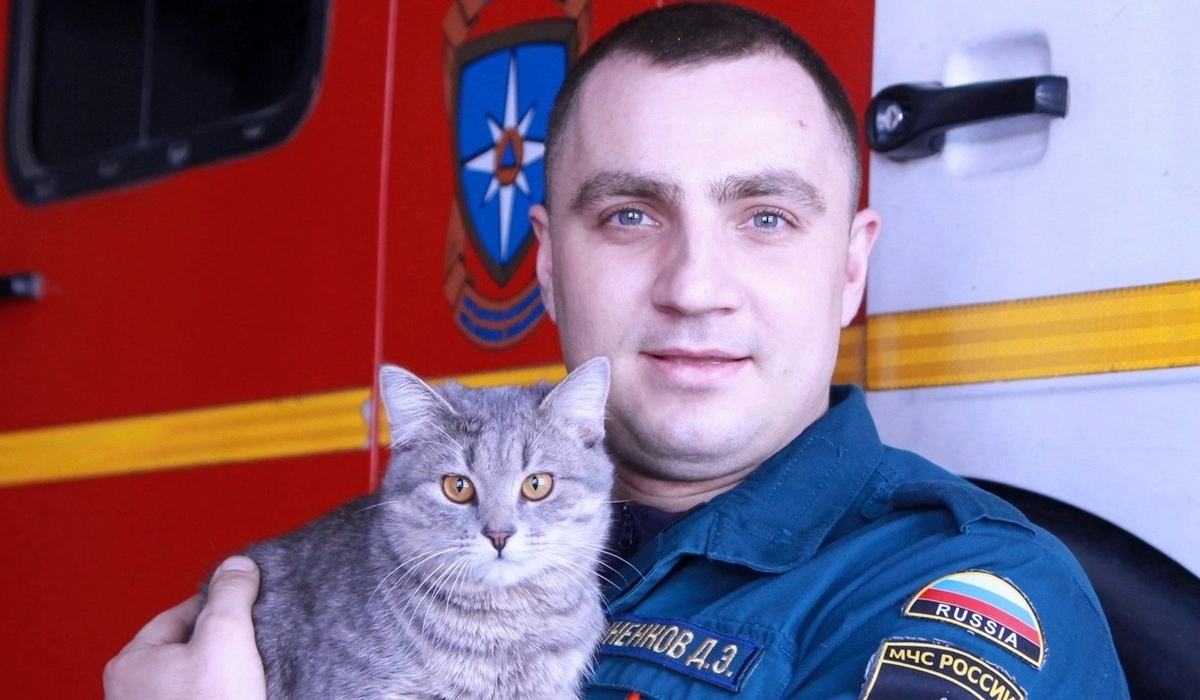 Курские спасатели приютили найденного во время пожара котенка