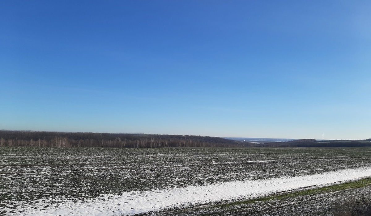 В Курской области 2 февраля ожидаются снег и +2 градуса