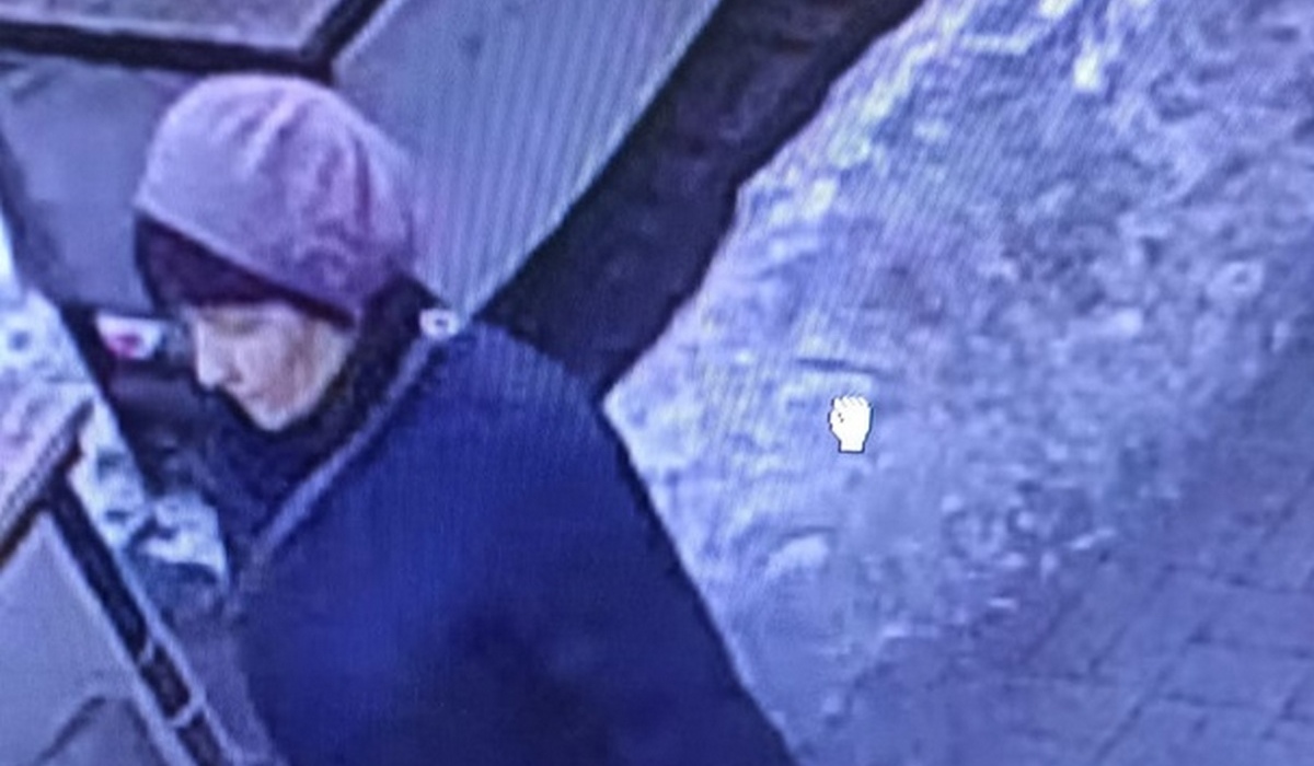 В Курске полицейские разыскивают подозреваемую в краже кошелька с деньгами