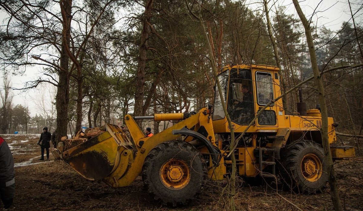 В Курске снова будут заготавливать дрова для военных