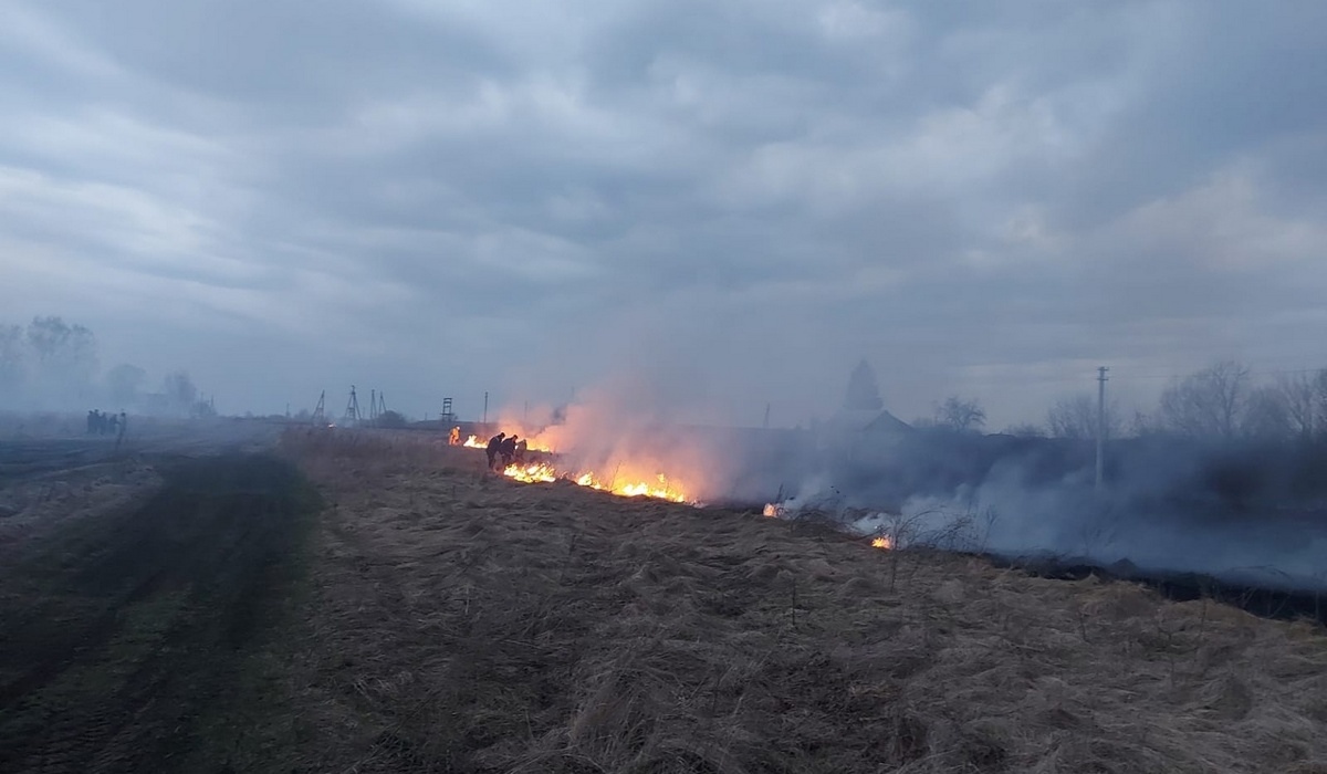В Курской области вечером 6 апреля тушили траву и трактор