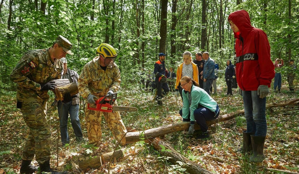 В Курске 85 человек приняли участие в акции по заготовке дров для участников СВО