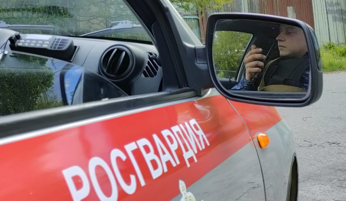 В Курской области росгвардейцы за неделю пресекли 204 административных правонарушения