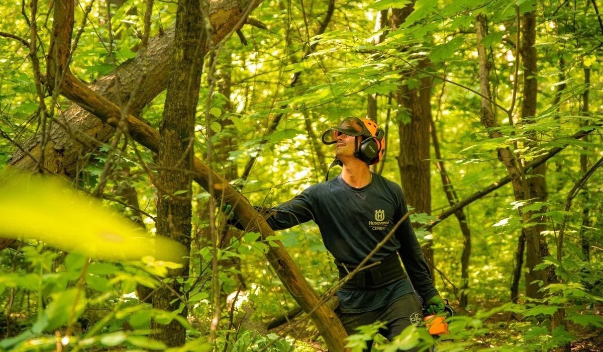 В Курске 3 июня состоится акция по заготовке дров для участников СВО