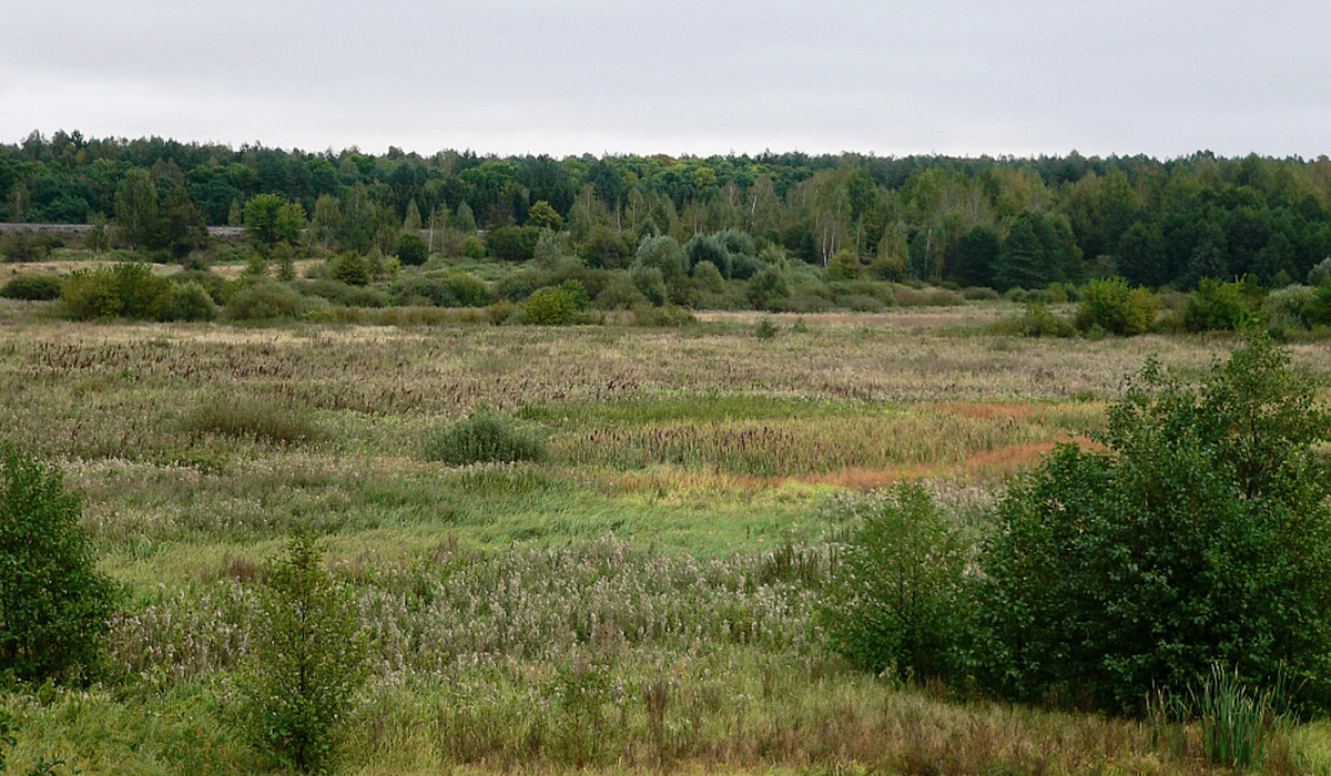 В Курской области в 2023 году появятся еще 2 особо охраняемые природные территории