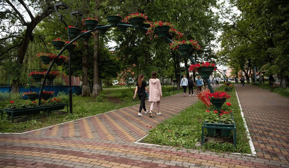 В Детском парке Курска установят 283 кашпо с петуниями