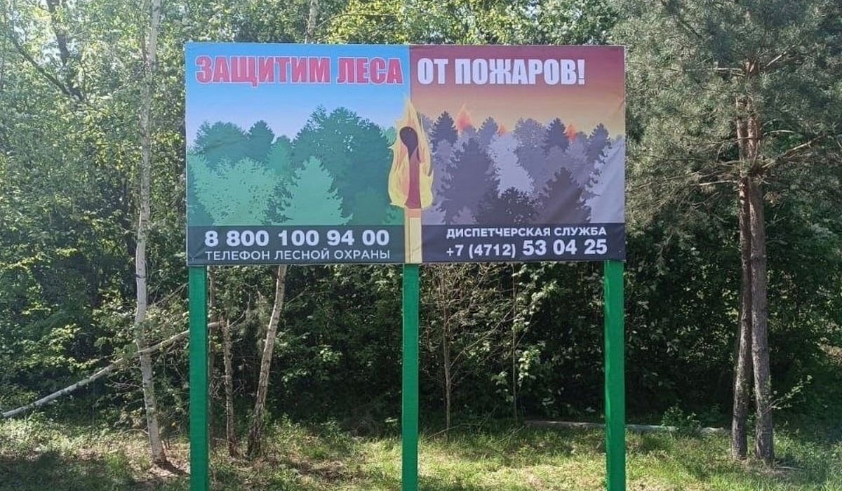 В Курской области с 22 мая продлевают запрет на разведение костров в лесах