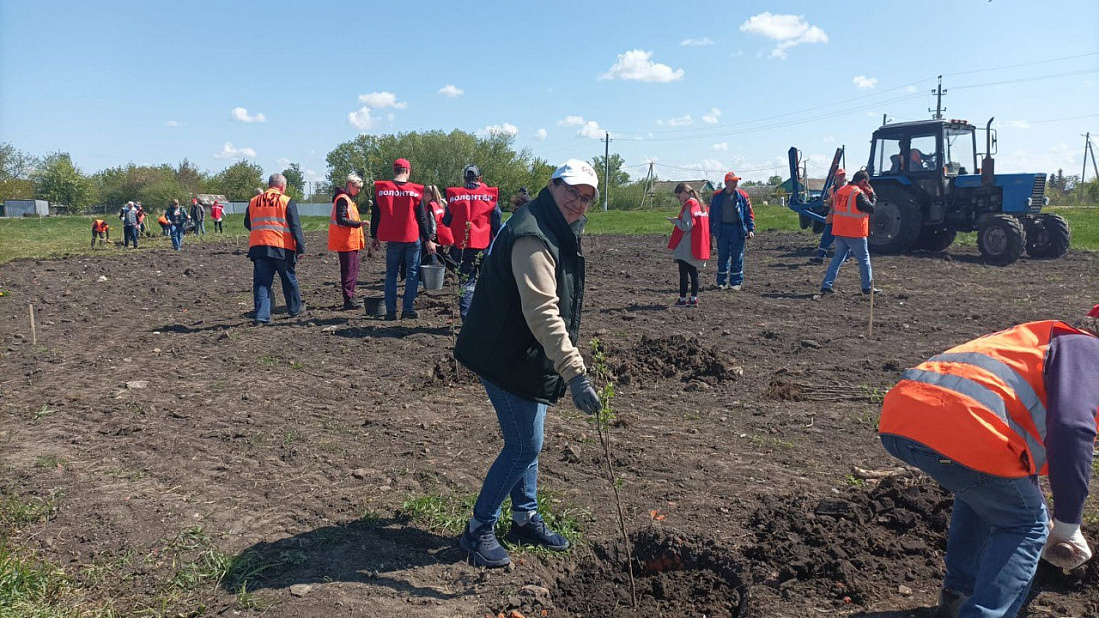 В Щигровском районе 30 человек приняли участие в акции «Сад Памяти»