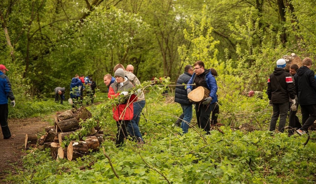 В Курске 13 мая состоится акция по заготовке дров для участников СВО