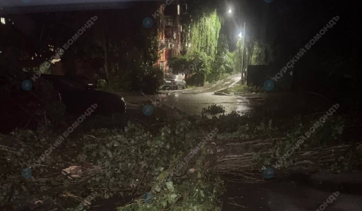 В Курске во время грозы на Союзной упало 2 дерева
