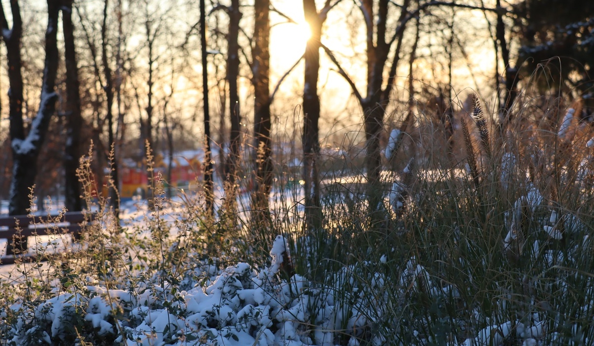 В Курской области 22 ноября ожидается похолодание до -13 градусов