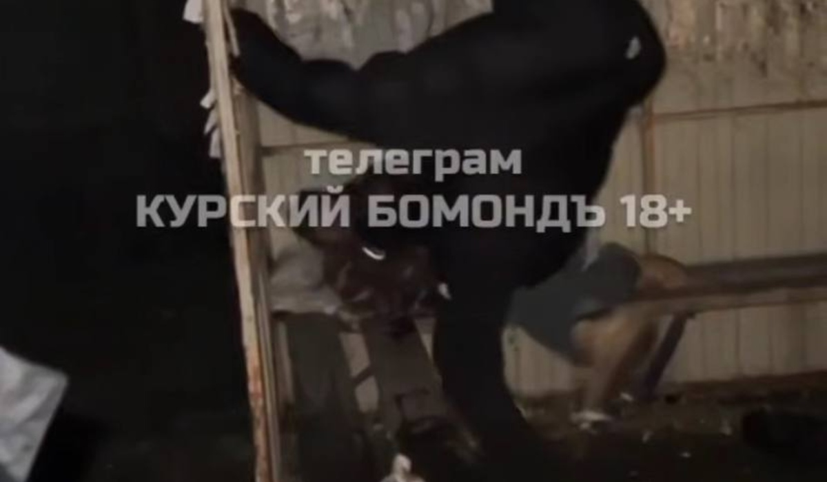 В Курской области установили личности подростков, издевавшихся над бездомным