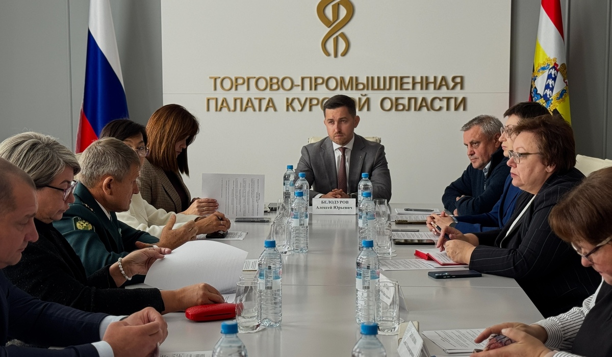Довериться профессионалам: курские предприниматели могут получить поддержку в Торгово-промышленной палате