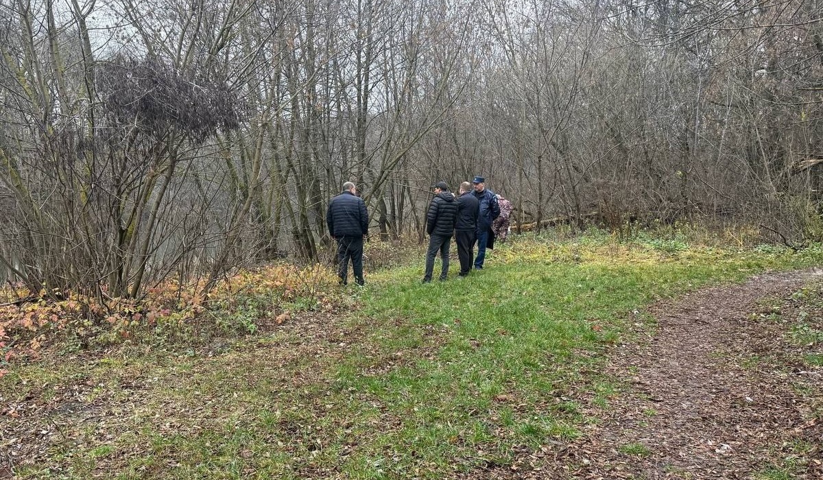 В Курске в парке «Соловьиная роща» обсудили создание экотропы