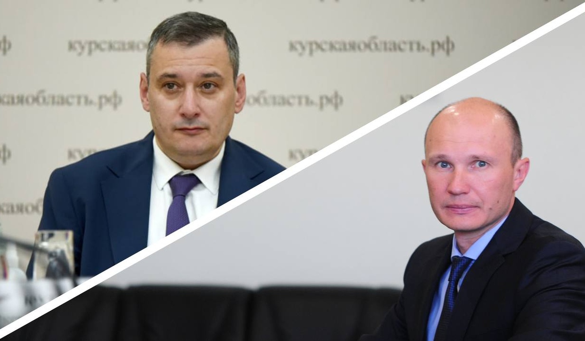 Хинштейн предложит фракции «Единой России» снять с должности председателя КГС