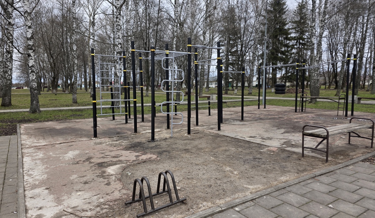 В Курской области благоустраивают спортплощадки в Понырях