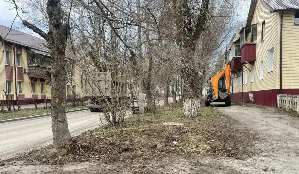 В Курске ликвидировали 6 несанкционированных свалок