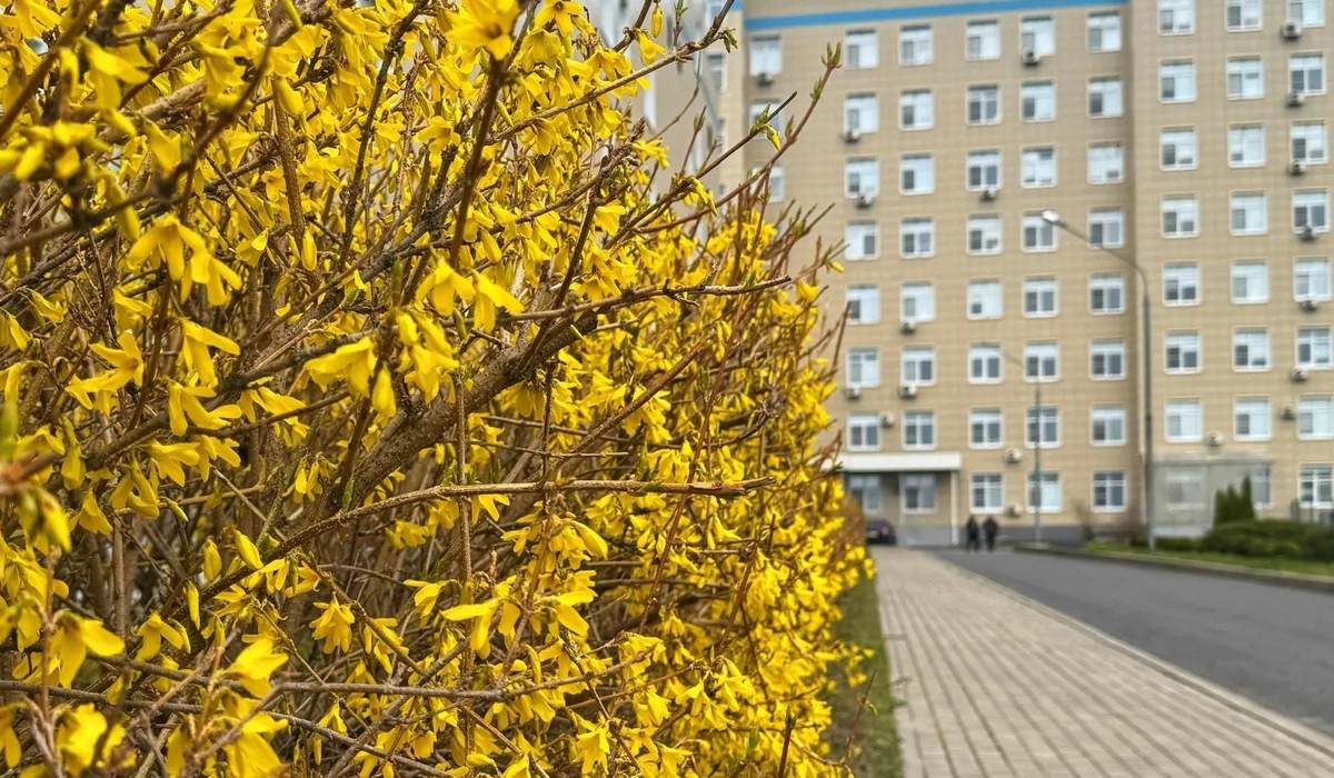 Врачи курского онкоцентра 22 мая осмотрят пациентов в Советском районе