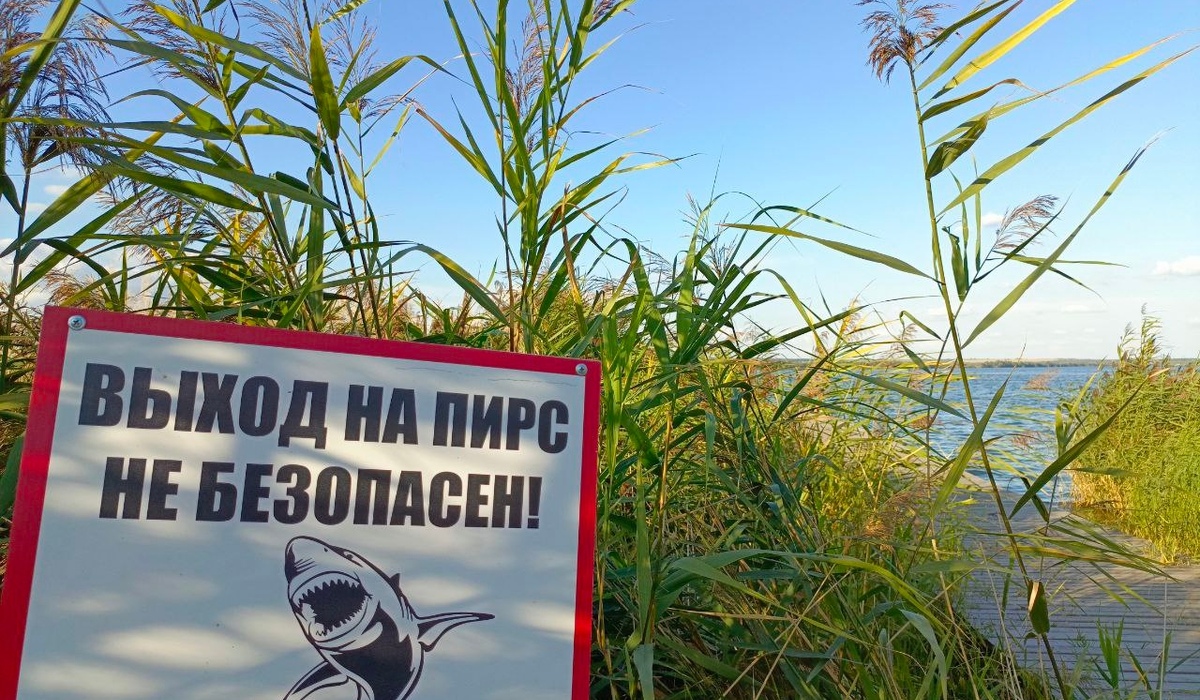 В Курской области проверили 68 проб воды в зонах для купания