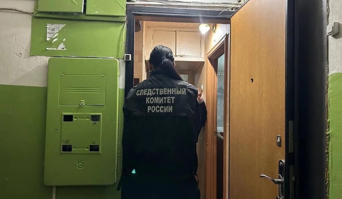 В Курской области 33-летняя женщина обвиняется в убийстве мужа