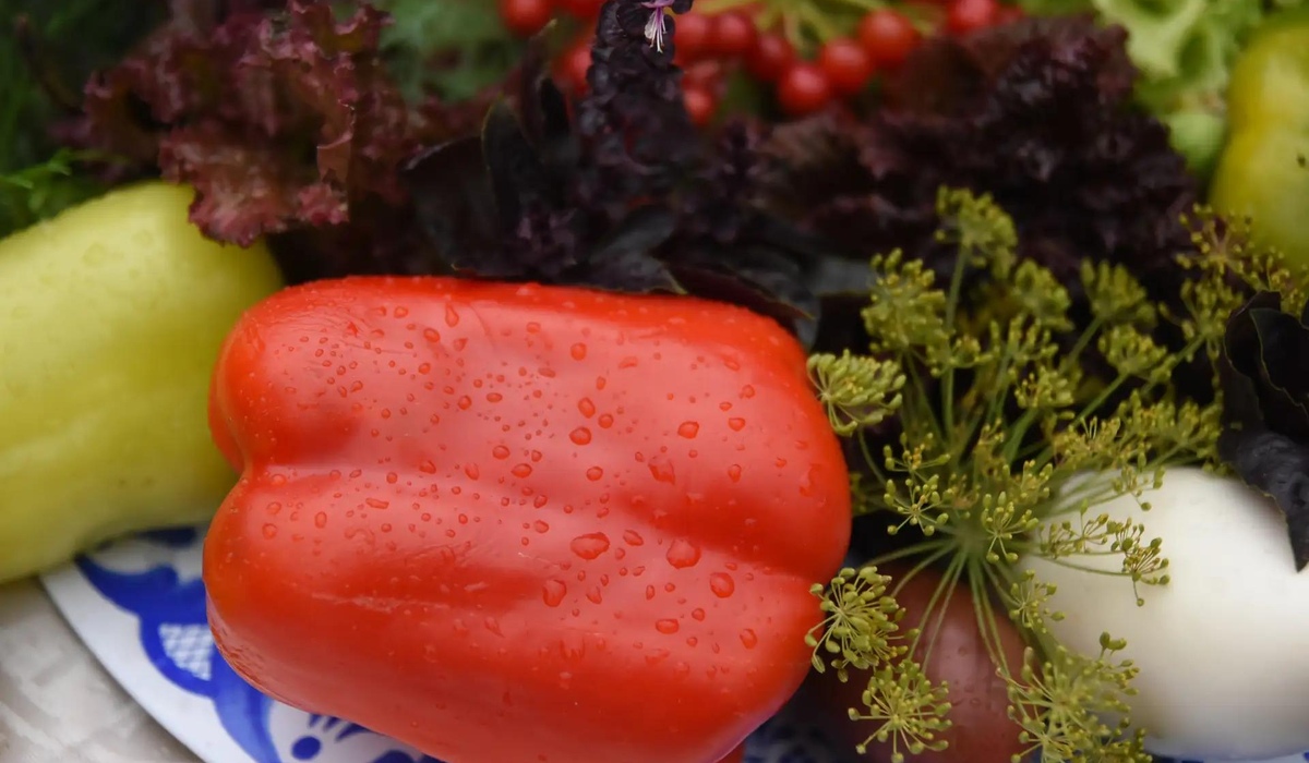 В школах и детсадах Курской области выявлены нарушения при хранении продуктов