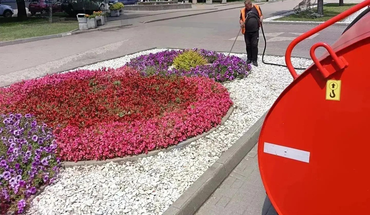 В Курске проводятся мероприятия по уходу за зелеными насаждениями