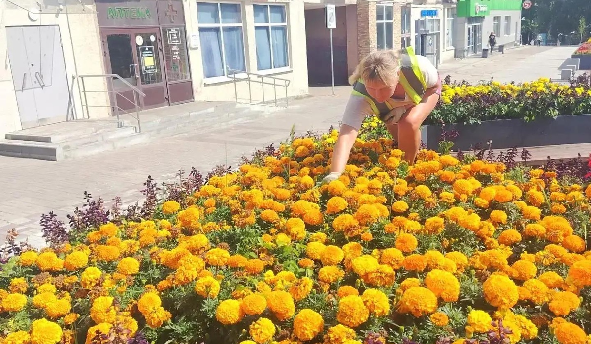 В парках и скверах Курска продолжается уход за зелеными насаждениями